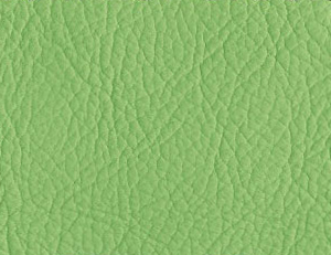 Stressless Paloma Summer Green Leather from Ekornes